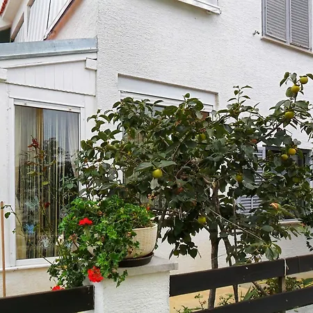 Apartment Near Zadar, Croatia, Charming W Terrace & Garden, Short Walk