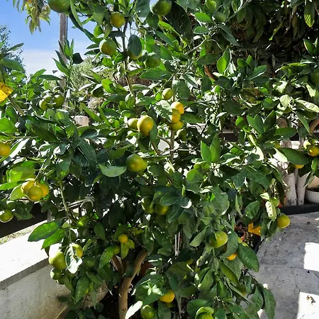 Apartment Near Zadar, Croatia, Charming W Terrace & Garden, Short Walk